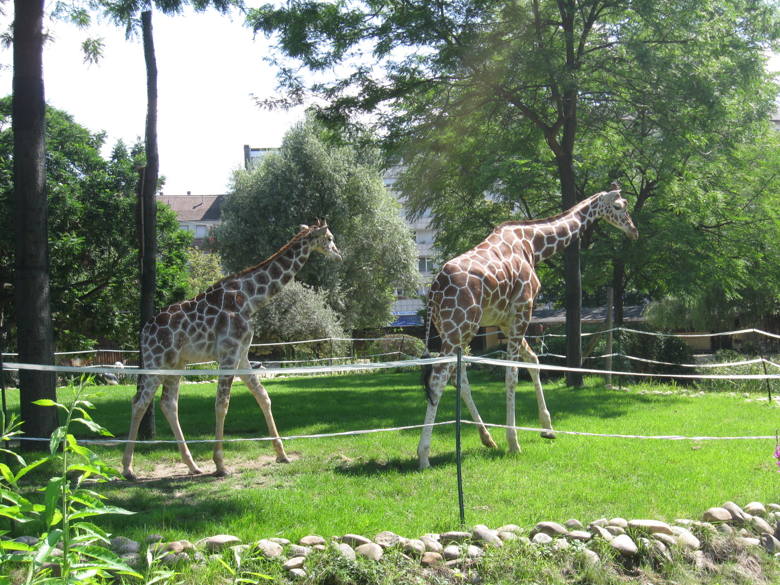 Karlsruhe_Zoo